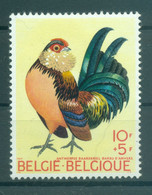 Belgique  1969 - Y & T N. 1513 - Animal De Basse-cour (Michel N. 1572) - Neufs