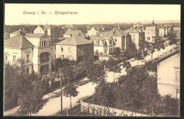 AK Coswig I. Sa., Königstrasse Mit Bäumen  - Coswig