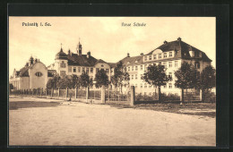 AK Pulsnitz I. Sa., Strasse An Der Neuen Schule  - Pulsnitz