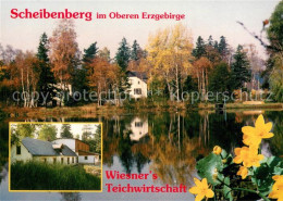 73734562 Scheibenberg Wiesners Teichwirtschaft Teichrosen Scheibenberg - Scheibenberg