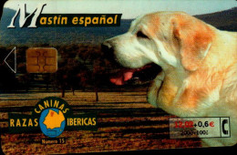 TELECARTE ETRANGERE.....CHIEN ESPAGNOL - Perros