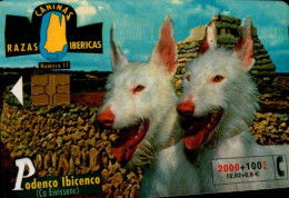 TELECARTE ETRANGERE.....CHIEN ESPAGNOL - Perros