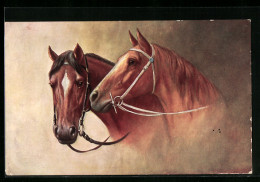 AK Zwei Rassepferde Mit Zügeln  - Paardensport