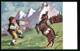 AK Knabe Auf Der Alm Im Boxkampf Mit Eselchen  - Donkeys