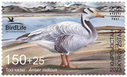Kyrgyzstan 2024 Bird Of The Year Bar-headed Goose Stamp MNH - Ganzen
