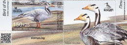 Kyrgyzstan 2024 Bird Of The Year Bar-headed Goose KEP Stamp With Label MNH - Ganzen