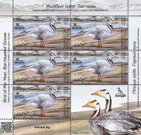 Kyrgyzstan 2024 Bird Of The Year Bar-headed Goose KEP Sheetlet With Label MNH - Geese