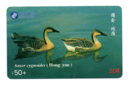 Canard Oiseau Bird Vogel Animal Télécarte  Chine China Phonecard  ( T 436) - Chine