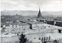 TORINO  Viaggiata 1950 - Panoramic Views