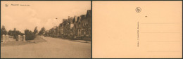 Carte Postale - Mouscron : Avenue Du Parc  (Edit. J. Castel-Petit) - Mouscron - Moeskroen