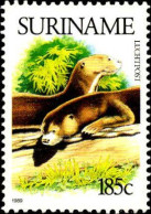 Suriname Avion N** Yv: 99 Mi:1290 Loutre - Surinam