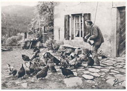 CPSM / CPM 10.5 X 15 Photographe JOËL COUCHOURON Les Vieux Métiers Les Vosges Paysan Nourrissant Ses Poules - Altri & Non Classificati