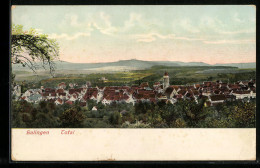 AK Balingen, Gesamtansicht  - Balingen