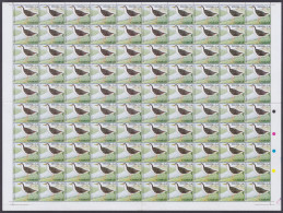 Bangladesh 2000 MNH BIrd, Birds, White-Breasted Pennant Waterhen, Complete Sheet - Bangladesch