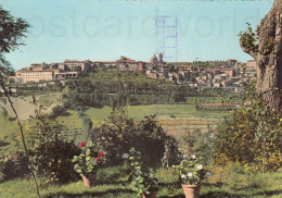 CARTOLINA  URBINO MARCHE PANORAMA VIAGGIATA 1956  Y6 - Urbino