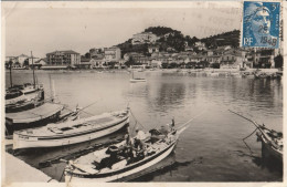 LE LAVANDOU - CPSM :  Le Port - Le Lavandou