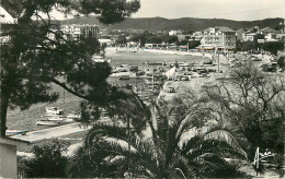 83 - LE LAVANDOU - Le Lavandou