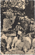 AD ANDORRE - VHT 26 - Ramat - Berger Et Troupeau De Moutons - Animée - Belle - Paysans