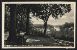 AK Bernburg /Saale, Ruheplatz Auf Dem Schlossberg  - Bernburg (Saale)