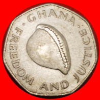 * CANADA (1996-1998): GHANA  200 CEDIS 1998 HEPTAGON WITH SHELL! · LOW START · NO RESERVE! - Ghana