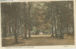 Assen 1932; Hoofdlaan Met Ronddeel In Het Stadsbosch - Gelopen. (N.V. Postema - Assen) - Assen