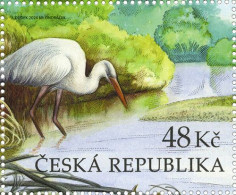 1270 Czech Republic Litovel Pomoravi Heron 2024 - Ooievaars