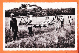 32570 / ⭐ (•◡•) GABON A.E.F  ◉ Portage En Typoye En Voie De Disparition 1940s ◉ Photo-Bromure PAULEAU Douala - Gabun