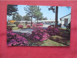 Camellia Motel.   Wilmington North Carolina > Wilmington .  Ref 6433 - Wilmington