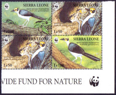 SIERA LEONE - BIRDS  PICATHARTES  WWF - **MNH - 1994 - Ungebraucht
