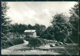 Vibo Valentia Fabrizia Rifugio Faggio Del Re PIEGHINA Foto FG Cartolina KF1897 - Vibo Valentia