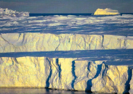 1 AK Antarctica / Antarktis / Terre Adelie * The Astrolabe Glacier * - Otros & Sin Clasificación