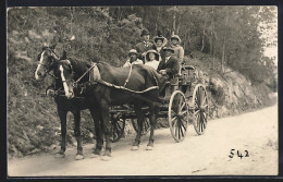 Foto-AK Hobart, Sechs Personen In Einer Kutsche  - Hobart