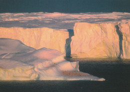 1 AK Antarctica / Antarktis / Terre Adelie * Penguins Resting On Iceberg With Glacier In The Background * - Sonstige & Ohne Zuordnung