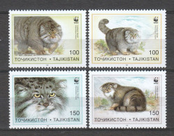 Tadjikistan 1996 Mi 94-97 MNH WWF - MANUL WILD CATS - Ungebraucht