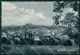 Campobasso Città Foto FG Cartolina KF1914 - Campobasso