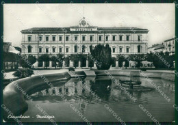 Campobasso Città Municipio PIEGHINA Foto FG Cartolina KF1920 - Campobasso