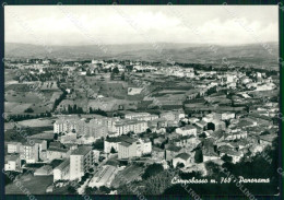 Campobasso Città Foto FG Cartolina KF1912 - Campobasso