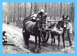 Carte Moderne - Les Landes D'Autrefois -  (40) - A32. Chargement Des Bois Pour La Gare - Photo Vignes - Attelages