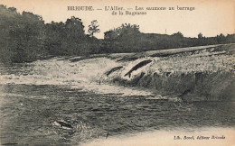 CPA Brioude-L'Allier-Les Saumons Au Barrage De La Bageasse-Timbre     L3005 - Brioude