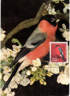 OISEAU / BOUVREUIL = ALLEMAGNE 1963 N° 275 = CARTE MAXIMUM - Songbirds & Tree Dwellers