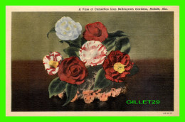 MOBILE, AL - BELLINGRATH GARDENS - A VASE OF CAMELLIAS - C.T. ART-COLORTONE - CARTER'S NEWS AGENCY - - Mobile