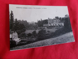 BELLE CPA CHATILLON COLIGNY...VUE D'ENSEMBLE...LE CHATEAU - Chatillon Coligny