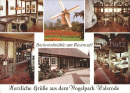 71974268 Walsrode Lueneburger Heide Rosencafe Walsrode Lueneburger Heide - Walsrode