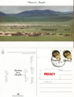 Mongolia Race Horse Breeding In The Grassland - Pcard 5jul2005 ( Not From Ulan Bataar!! ) - Mongolia