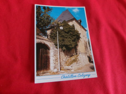 BELLE CPM CHATILLON COLIGNY.....LA MAISON DITE DE L'ENFER - Chatillon Coligny