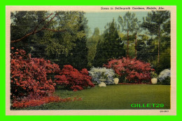 MOBILE, AL - SCENE IN BELLINGRATH GARDENS ON ISLE-AUX-OIES-RIVER -  C.T. ART-COLORTONE - - Mobile