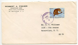 El Salvador 1964 Cover; San Salvador To Watervliet, New York; Scott 743 - 6c. Brown Coati - El Salvador