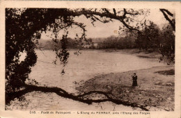 N°5573 W -cpa Forêt De Paimpont -l'étang Du Perray- - Paimpont