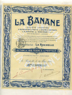 LA BANANE - Agriculture