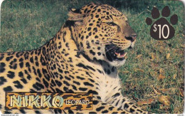 USA - Leopard, GAF Prepaid Card $10, Tirage 2000, Used - Autres & Non Classés